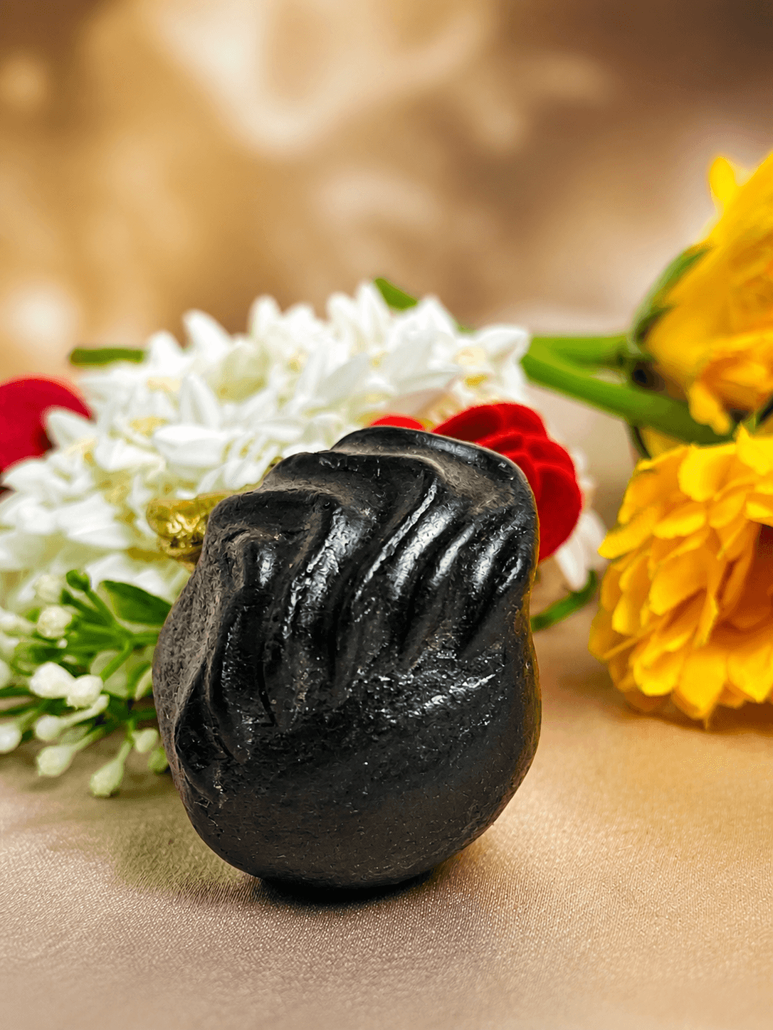 Laxmi Associated Shaligram