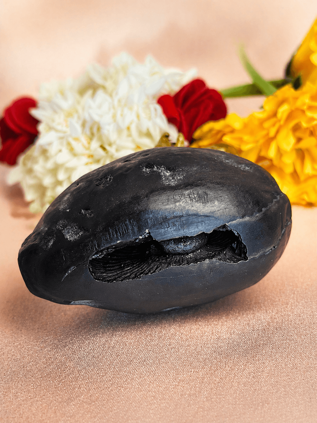 Vishnu Form Shaligram